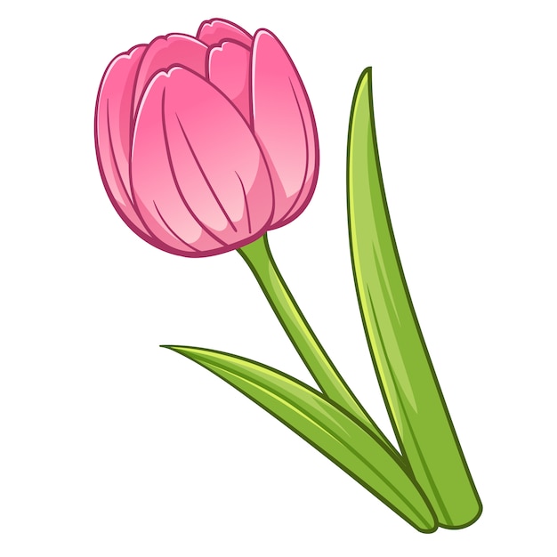 Tulip cartoon style Vector Premium Download