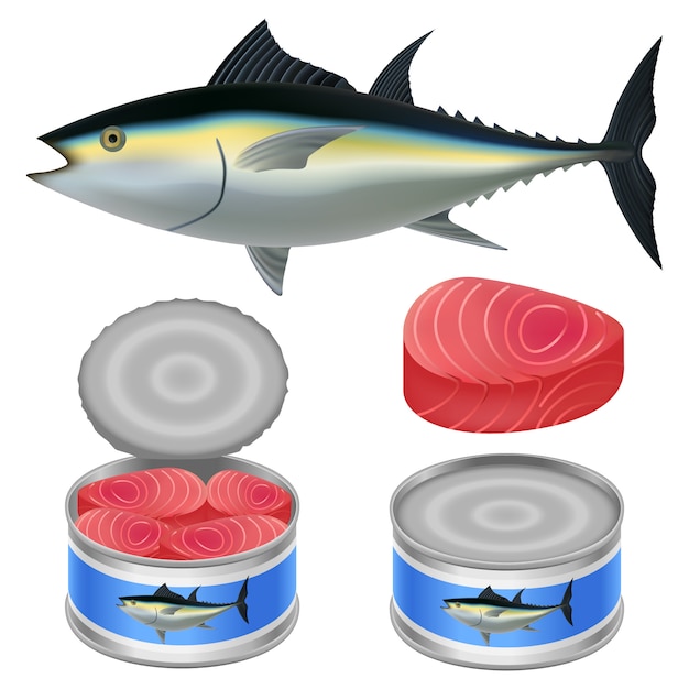 Download Tuna fish can steak mockup set Vector | Premium Download