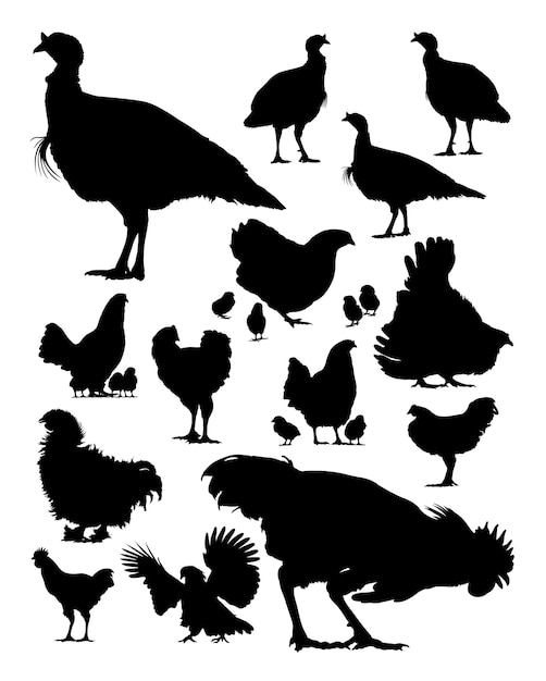 Download Chicken Silhouette / Including transparent png clip art ...