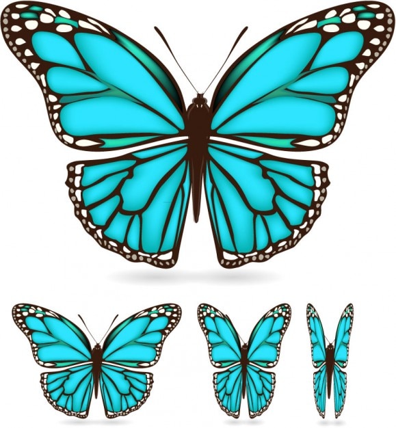 Free Free 213 Giant Butterfly Svg SVG PNG EPS DXF File