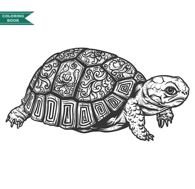 Premium Vector | Turtle coloring book illustration, zentangle animal