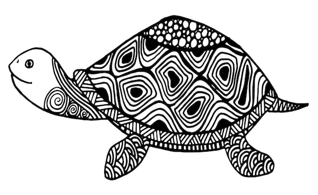 Premium Vector | Turtle doodle with ornament vector illustration