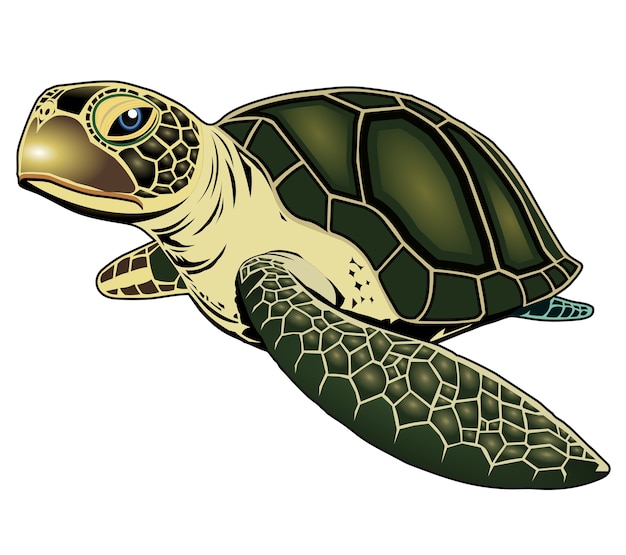 Turtle Vector | Premium Download