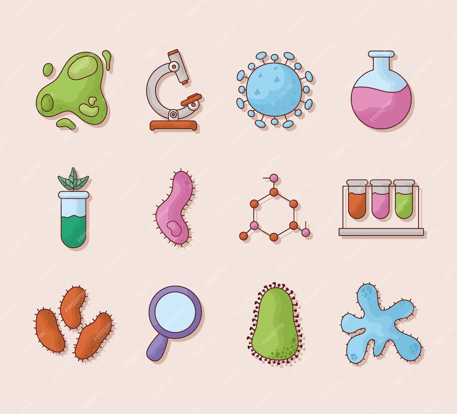 Premium Vector | Twelve biology items