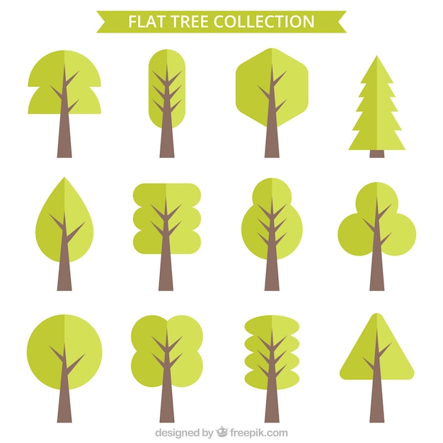 Twelve flat trees | Free Vector