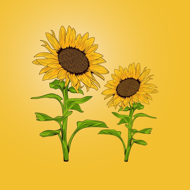 Download Vector Sunflower Logo PSD - Free PSD Mockup Templates