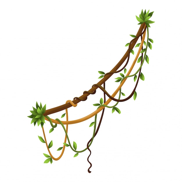 Premium Vector | Twisted wild lianas branches banner. jungle vine ...