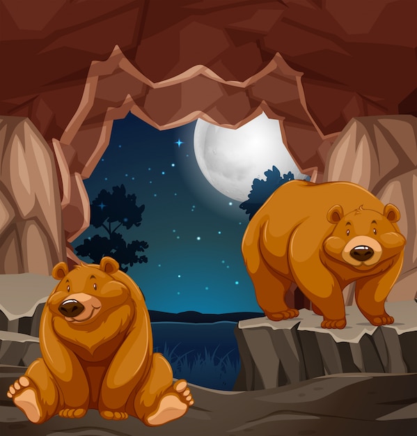 Featured image of post Bear Sleeping In Cave Clipart