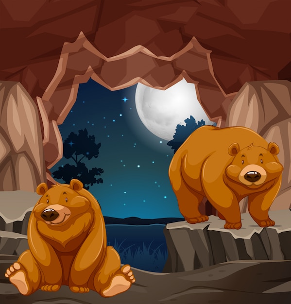 Two brown bears in cave