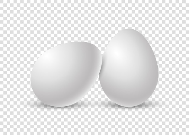 Premium Vector | Two chicken eggs realistic egg with soft shadow single ...