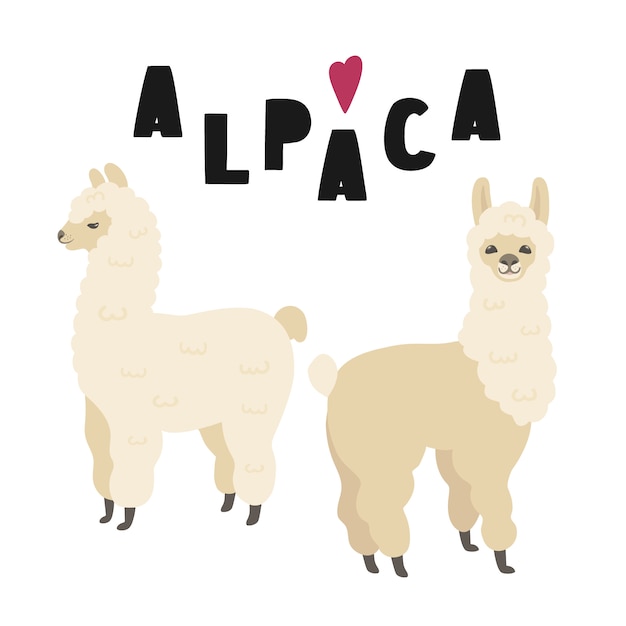 Premium Vector Two Cute Alpacas With Lettering
