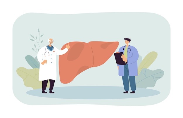 Two doctors discussing liver disease illustration Free Vector