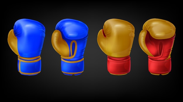 two boxing gloves