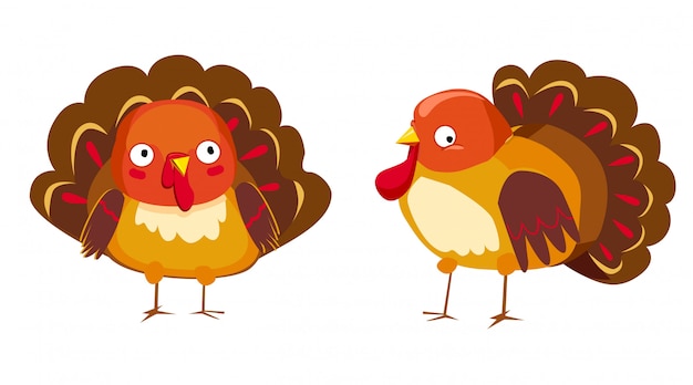 Premium Vector | Two turkeys