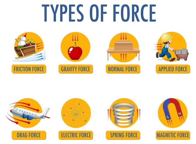 Science 8 Types Of Forces Worksheet