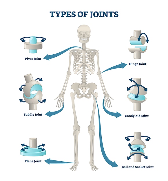 types of joints