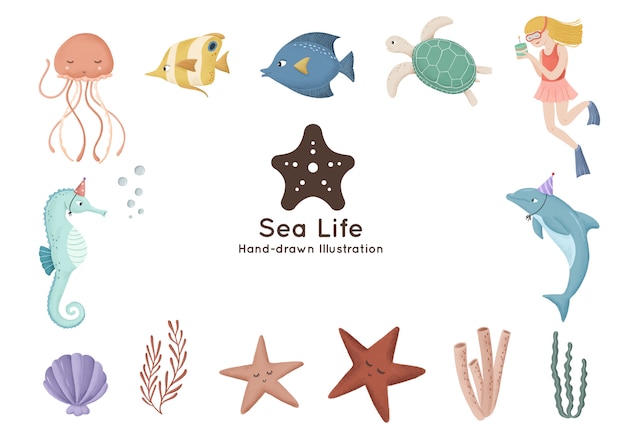 Premium Vector | Underwater elements hand-drawn watercolor illustration