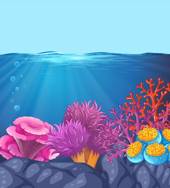 Premium Vector | Underwater ocean coral scene