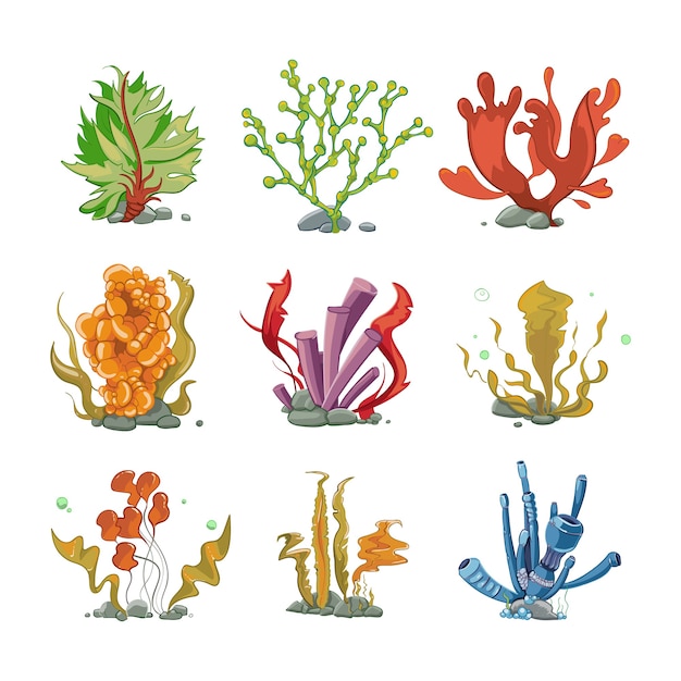 Free Vector Underwater plants in cartoon vector style. ocean life