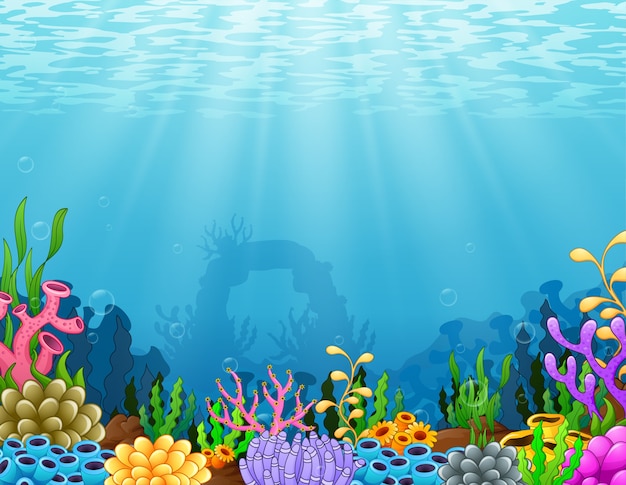Premium Vector | Underwater scene with tropical coral reef