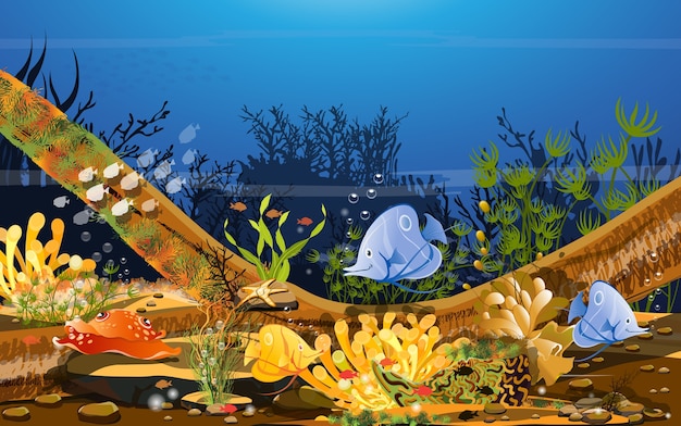 水中世界 魚 サンゴ礁 岩 プレミアムベクター