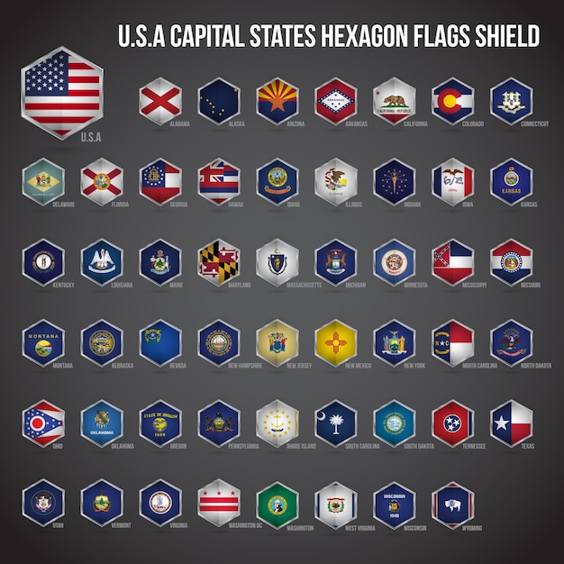 United states of america capital states hexagon flags shield Vector ...