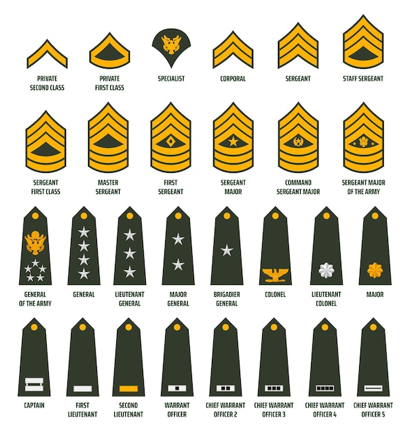 Premium Vector | Us army enlisted ranks chevrons and insignia