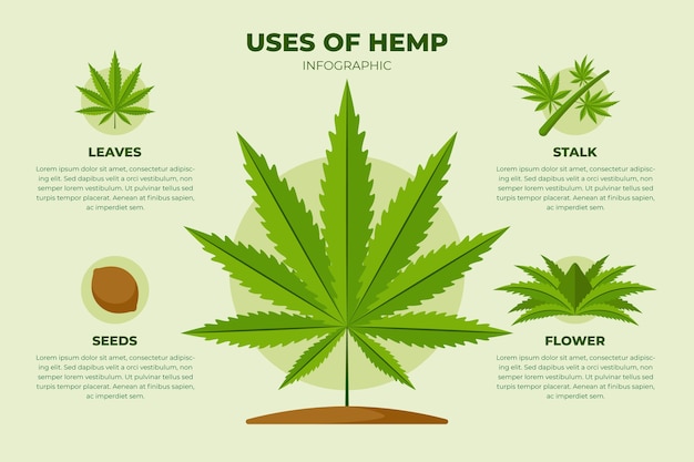 Free Vector | Uses Of Hemp Infographic Template