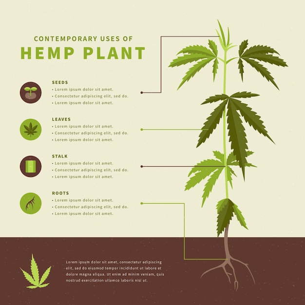 Free Vector | Uses of hemp - infographic