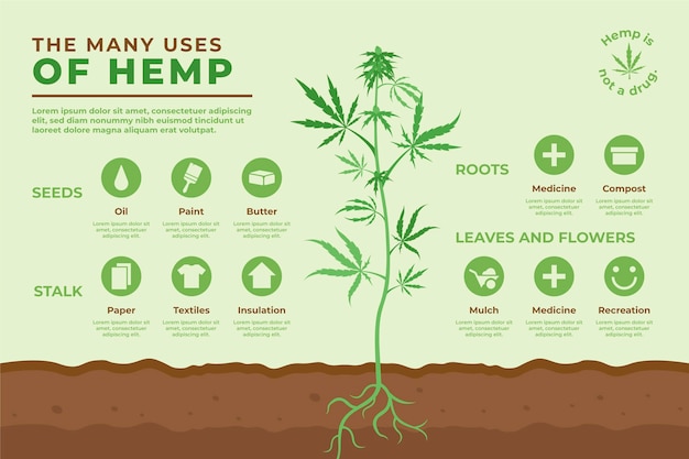 Free Vector Uses Of Hemp Infographic 2092