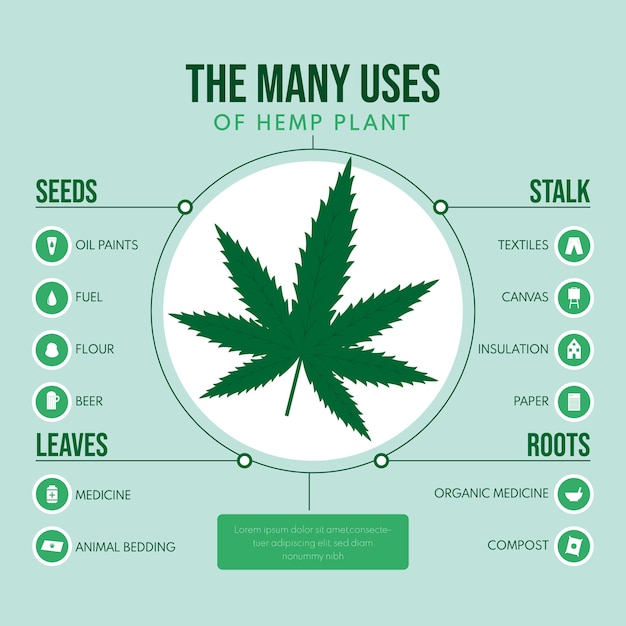 Free Vector | Uses of hemp plant infographic