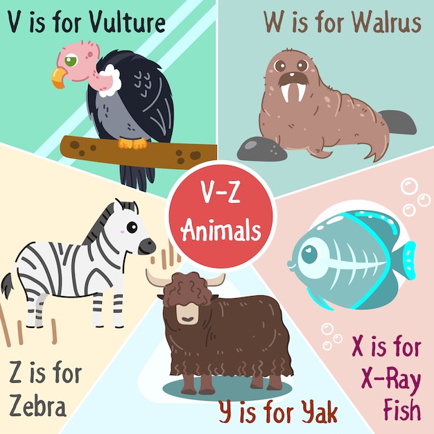 V To Z Animals Collection Stock Images Page Everypixel