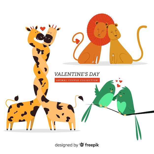 Download Valentine animal couple collection | Free Vector