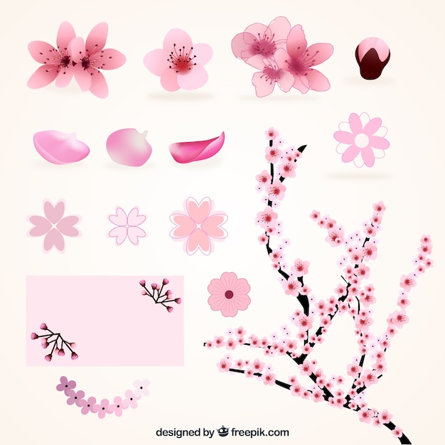 Download Free Vector | Variety of cherry blossoms