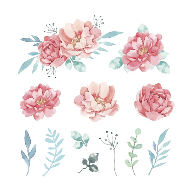 Download Variety of decorative watercolor flowers and leaves Vector | Free Download