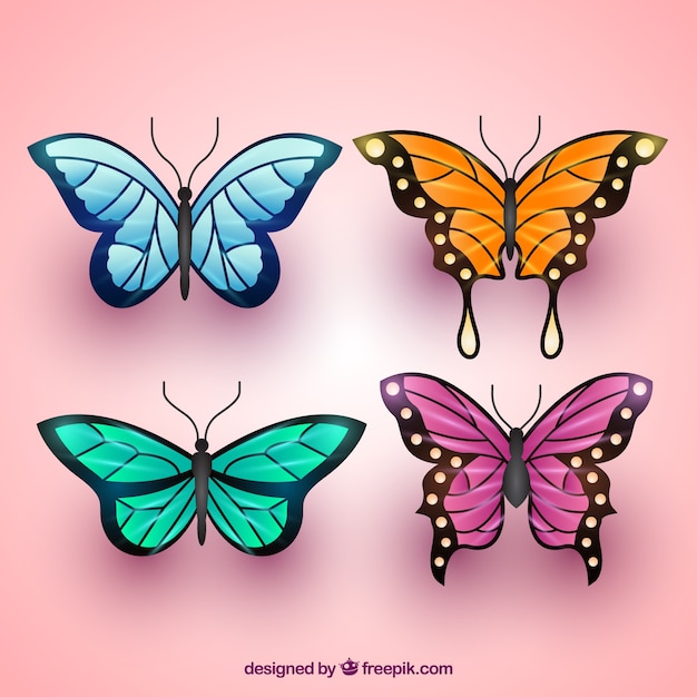 Variety of colored butterflies