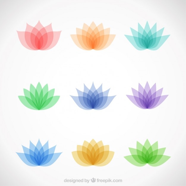 Variety Of Colorful Lotus Flowers Vector Free Download 2871
