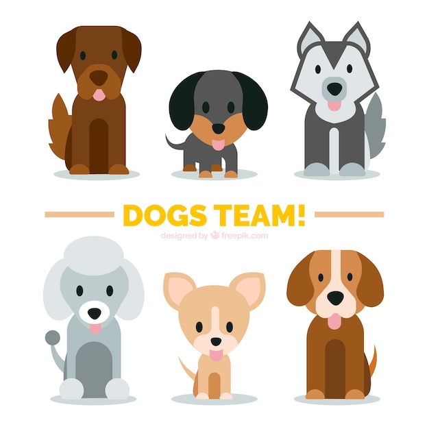 Variety of cute puppies in flat design