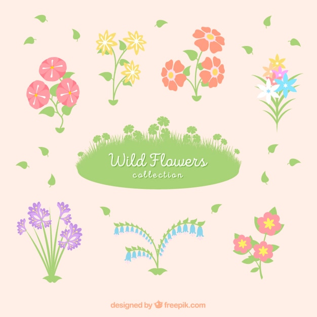 Download Variety of cute wild flowers Vector | Free Download