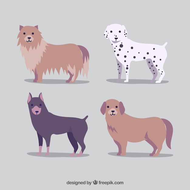 Variety of dogs in flat design
