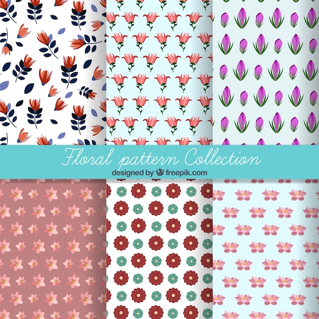 Variety of flowers pattern collection