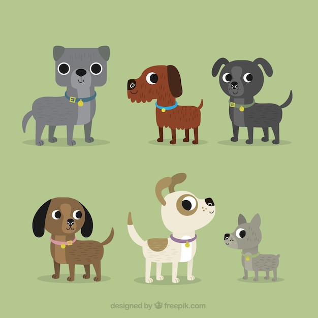 Variety of pretty dogs in flat design