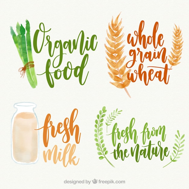 Variety of watercolor organic food
stickers
