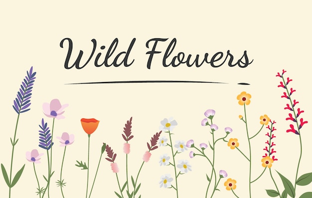 Wildflower Vectors, Photos and PSD files | Free Download