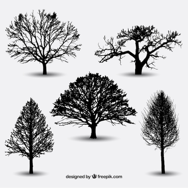 Download Variety of tree silhouettes | Premium Vector