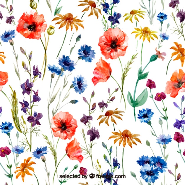 Download Variety of watercolor flowers Vector | Free Download