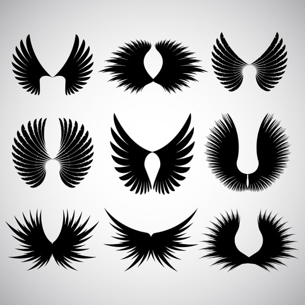 Download Various different designs of wing silhoeuttes | Free Vector