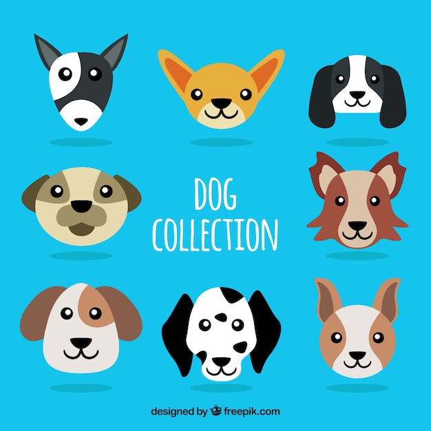 Various dogs in flat design