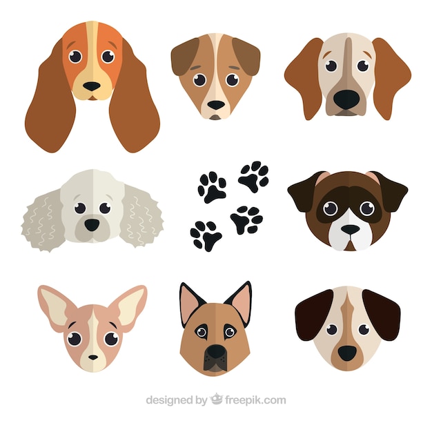 Various dogs of different breeds in flat\
design