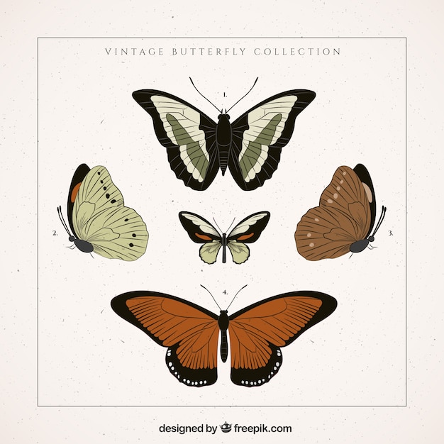 Various hand drawn retro butterflies